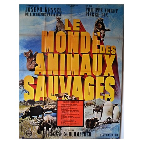 Le monde des animaux sauvages